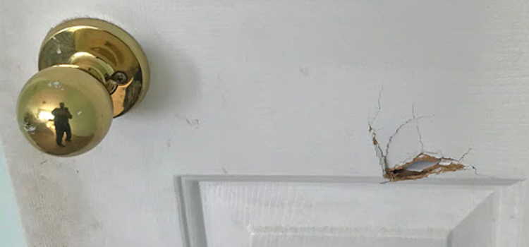 interior door hole repair Willowbrook