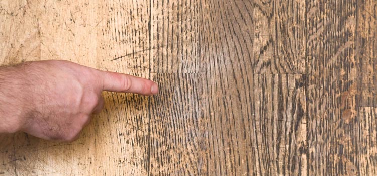 Wood Door Scratch Repair in Willowbrook